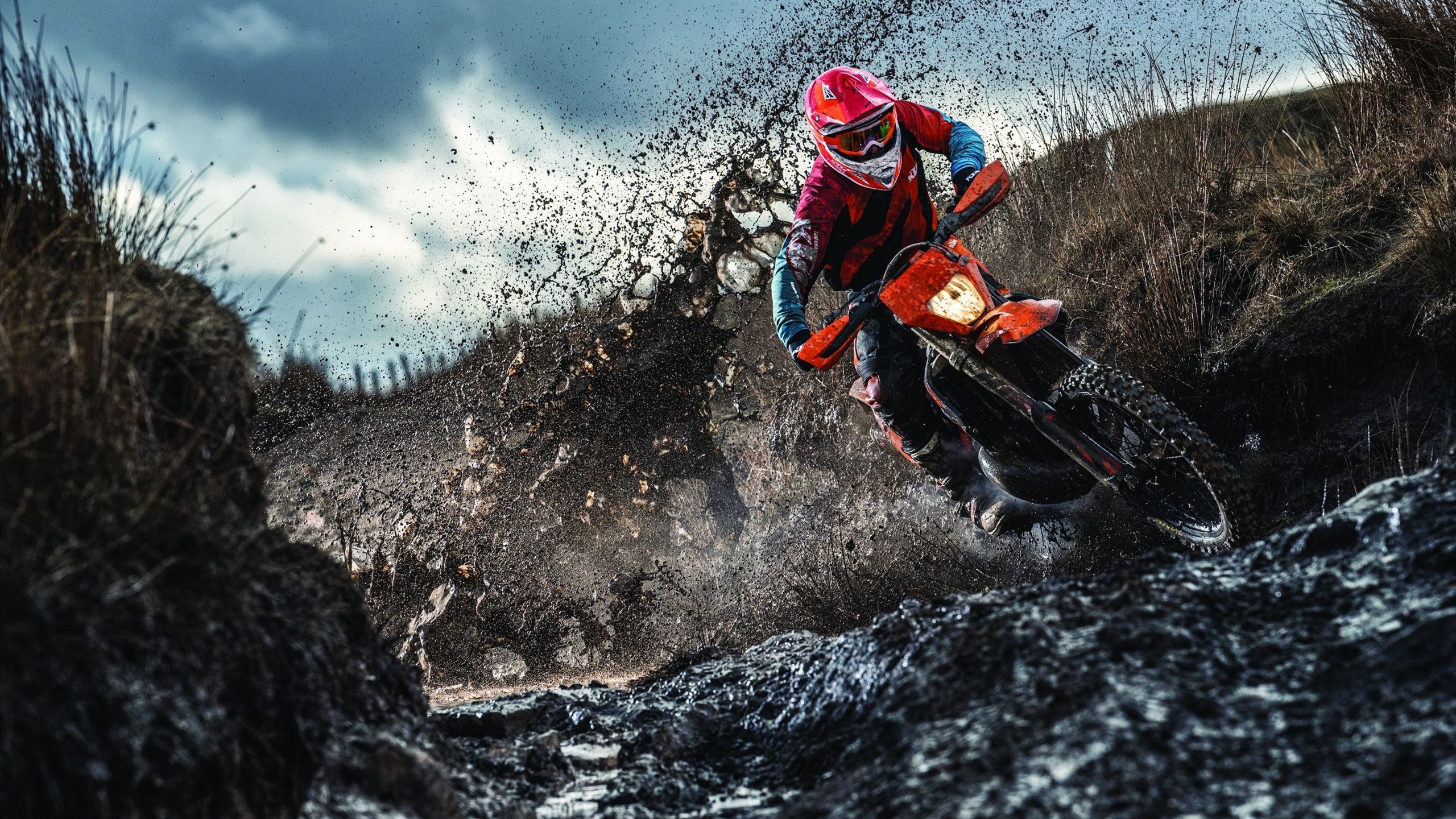 公牛球队年轻阵容逐渐成熟,公牛队以前的球员